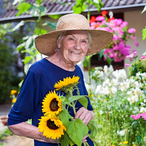Outdoor Activity Ideas For Seniors The Elderly