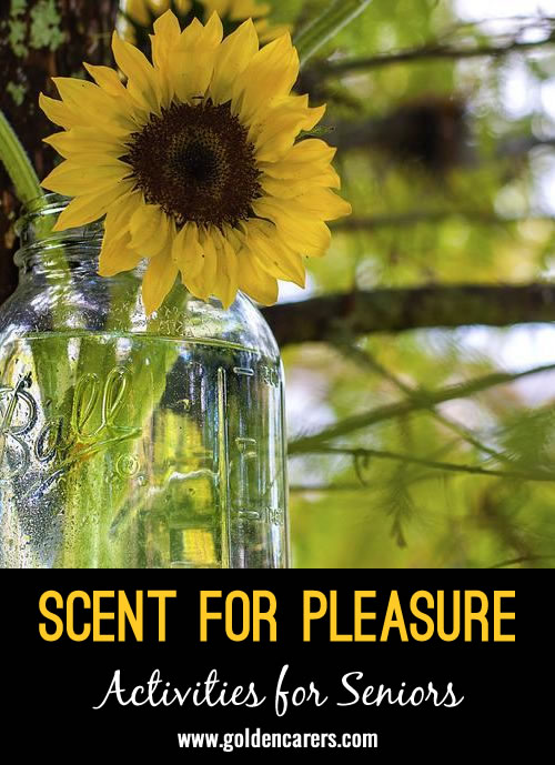 Evocation of familiar scents to stimulate long-term memories. Ideal for sight impaired seniors.
