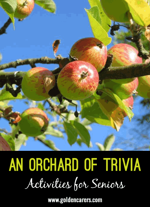 An Orchard of Trivia