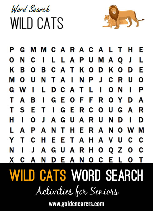 A wild cats themed word finder!