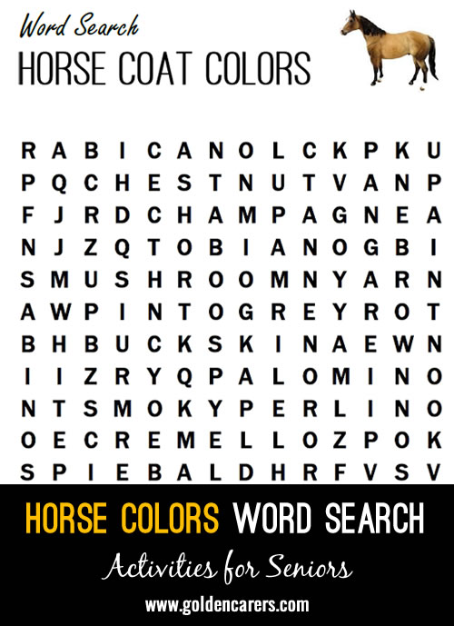 Another fun word search with words that describe the colours of horse coats.