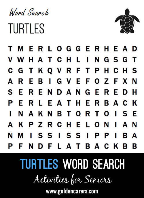 A turtle themed word search
