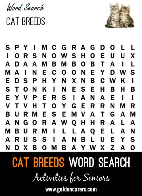 A cat themed word search!