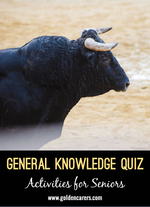 Here is a fun general knowledge quiz to enjoy!