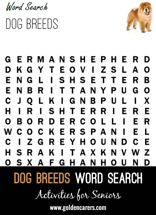 A dog breeds word search to enjoy!