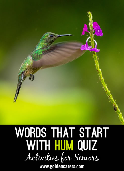 All the answers to this quiz start with the letters HUM!