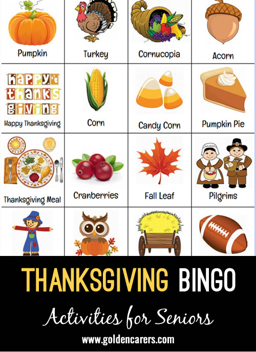 A Thanksgiving themed bingo to enjoy!