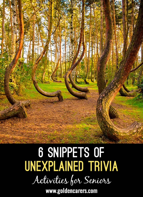 Here are some fascinating tidbits of unexplained trivia to share and discuss.