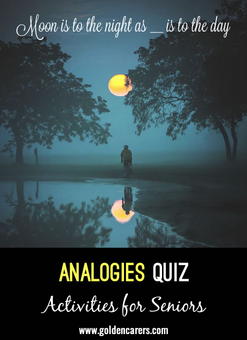 Copmlete the analogies in this quiz!