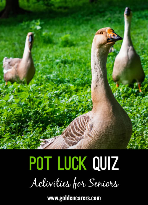 Try your luck in this general knowledge quiz!
