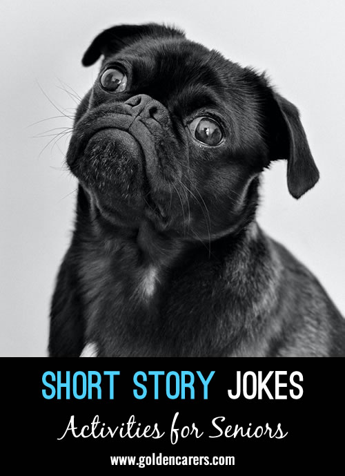 Short Story Jokes #13