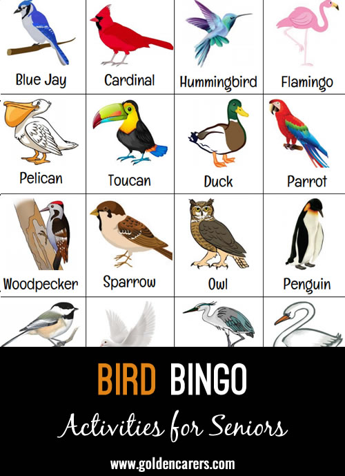Bird themed picture bingo game.  We have a bird-watching club and I thought this was a good addition to incorporate into our bird-related activities.  When a resident calls 