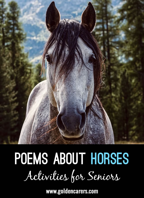 Here are some lovely poems about horses to share
