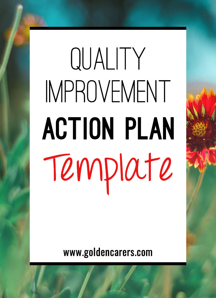 Quality Improvement Action Plan Template