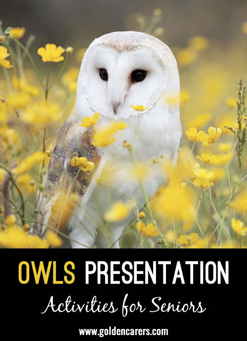 Here is a beautiful powerpoint presentation all about owls!