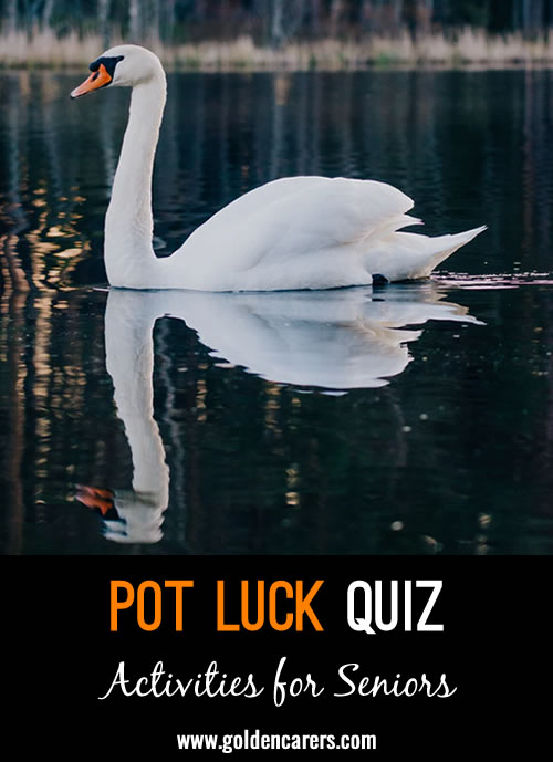 Here's another pot luck quiz to enjoy!