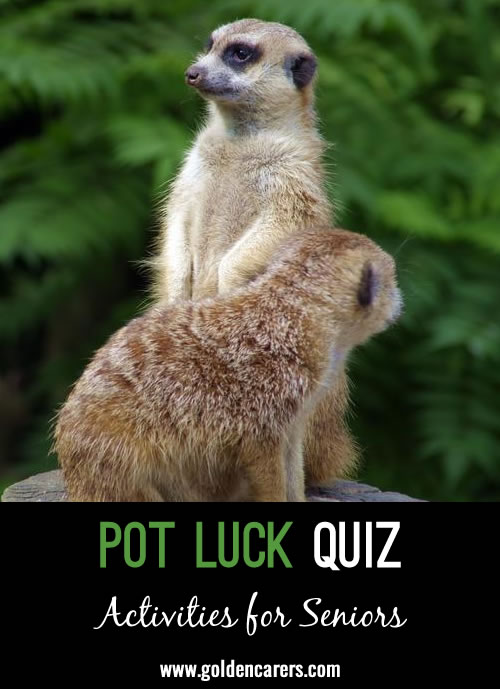 The next in our pot luck quiz series!