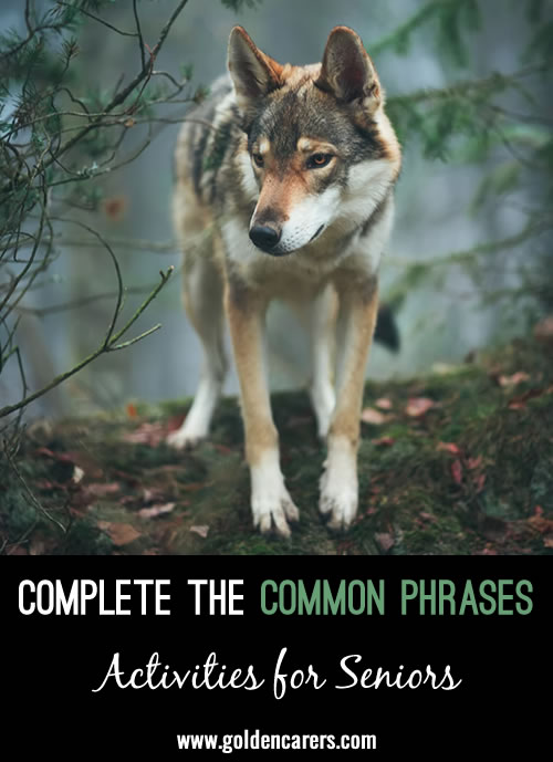 Complete these common phrases!