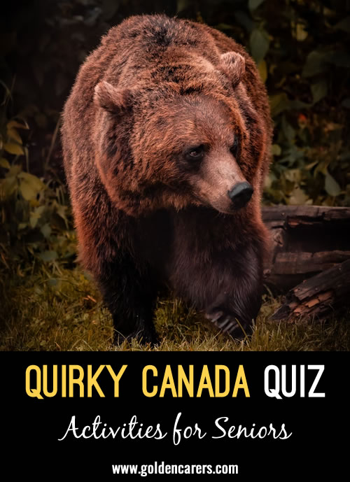 Canada is known for many iconic images, like Mounties in bright red uniform jackets riding shining black horses, but the country also has some very unusual claims to… fame. Are these 20 Quirky Canadian Facts true or false?