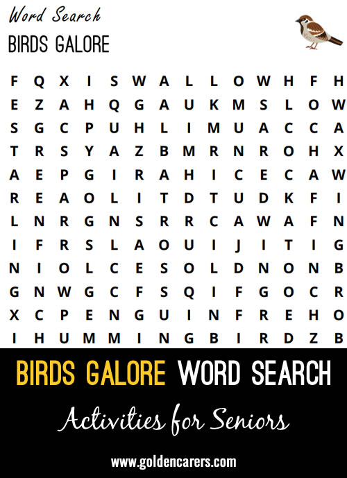 A bird-themed word search to enjoy!