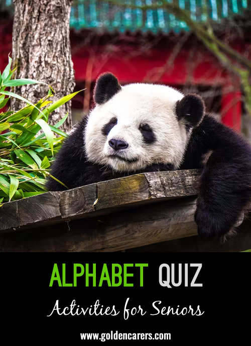 Here is another alphabet quiz to enjoy!