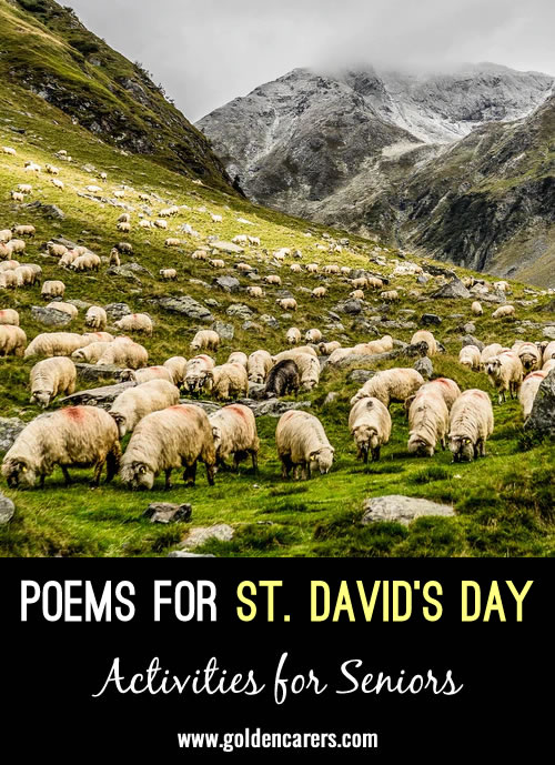 Here are 2 lovely Welsh poems to share on St. David's Day.
