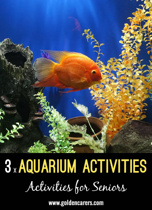Here are 3 simple and easy-to-modify activities that utilize the aquarium in your premises.