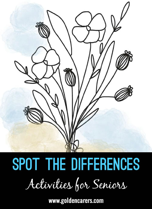 Can you spot the 8 differences?