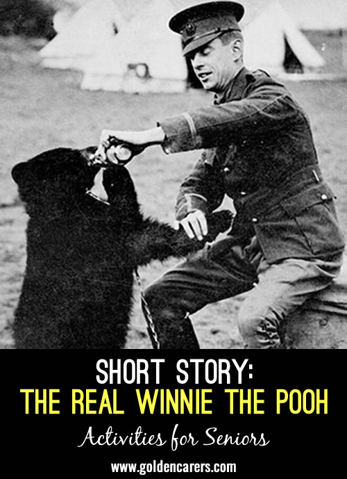 The sweet nature of the character named Winnie-the-Pooh, was directly inspired by a real bear so gentle that children were allowed to play with her. That real bear’s life story was as unlikely as a talking bear, and yet this is what happened.
