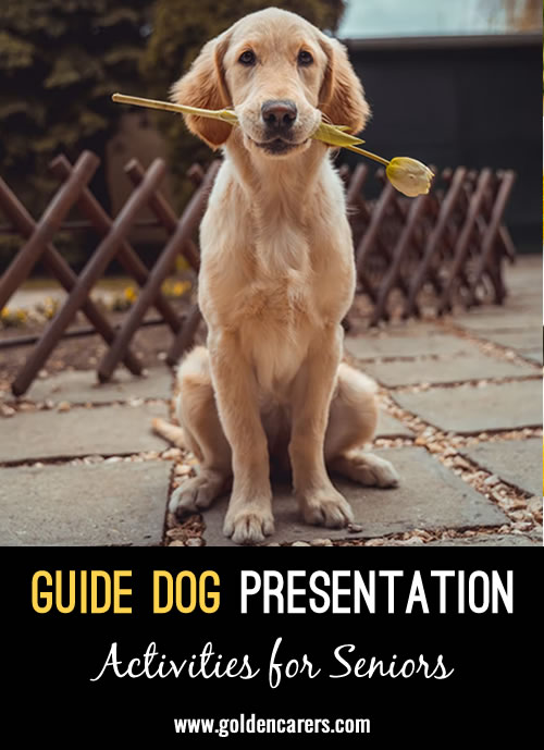 For International Guide Dog Day, invite a speaker from your local Guide Dogs association.