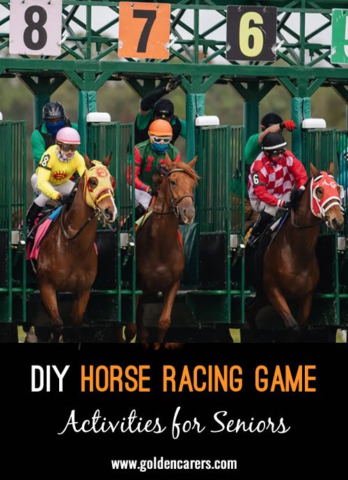Horse Racing is a fun activity that touches upon many of the holistic elements of health that we are trying to reach as recreational therapists.