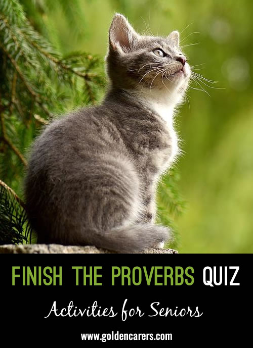 Here is another fun proverbs quiz!