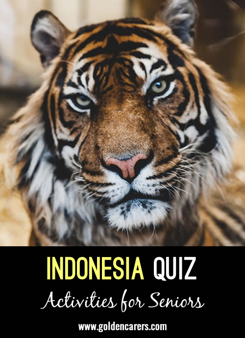 20 Question about Indonesia!