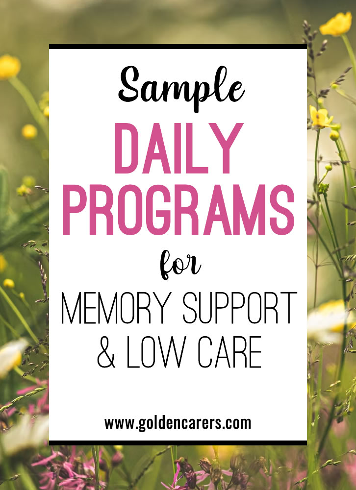 Two sample Daily Programs are provided, one for Memory Support and the other for Low Care.