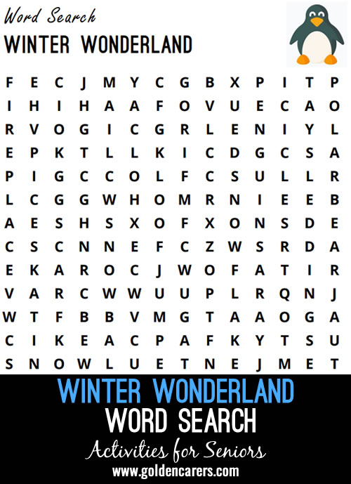 Find the words for a Winter Wonderland experience!