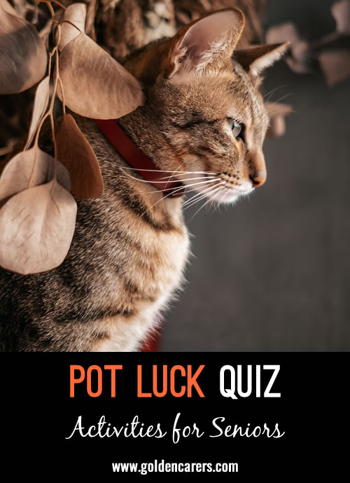 Another pot luck quiz!