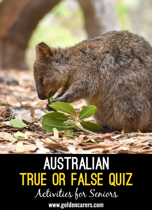 Here is an Australian True or False Quiz to enjoy!