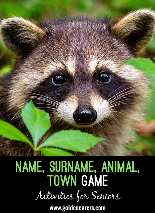 Name, Surname, Animal, Town! Game