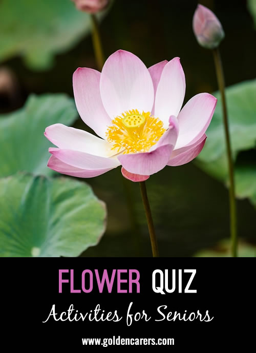 Another flower quiz to enjoy!