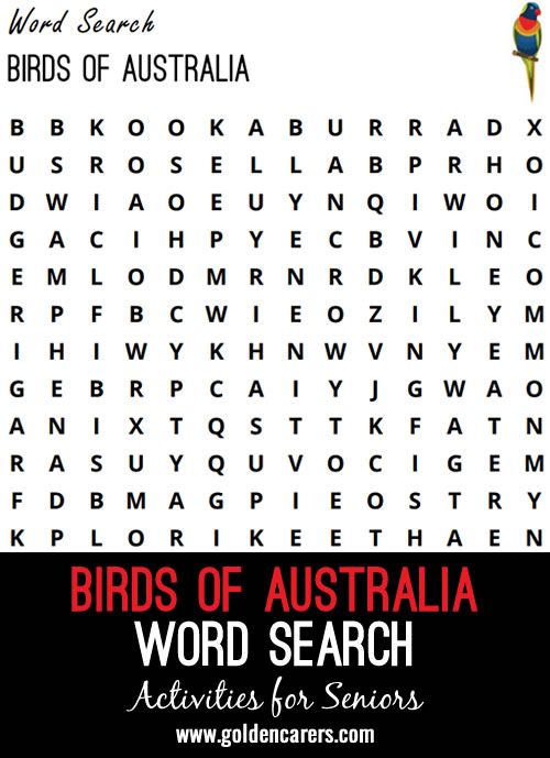 A word search with common Australian Birds to celebrate Australian National Birds.