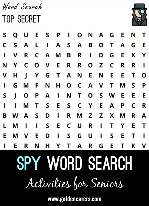 Enjoy with the Spy Fiction - Match Novel to Author activity as an independent warm-up activity for a spy afternoon.