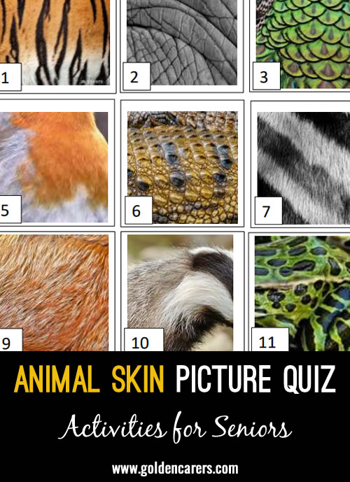 Visual Quiz identifyng animal fur, skin etc.