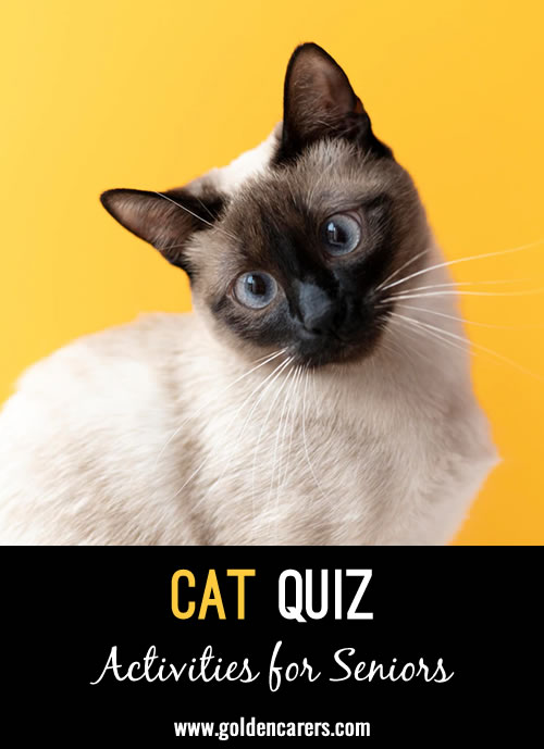 Here is a cat quiz to enjoy!
