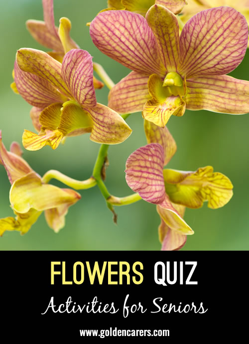 Here is another flower quiz to enjoy!