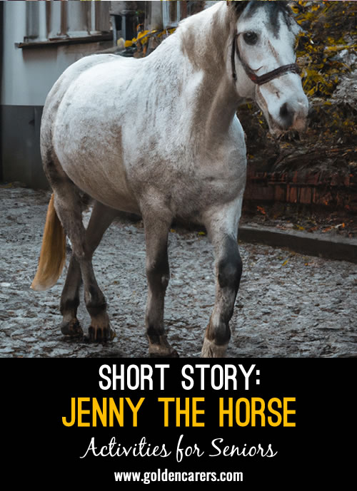 The inspiring story of Jenny the horse from Frankfurt!