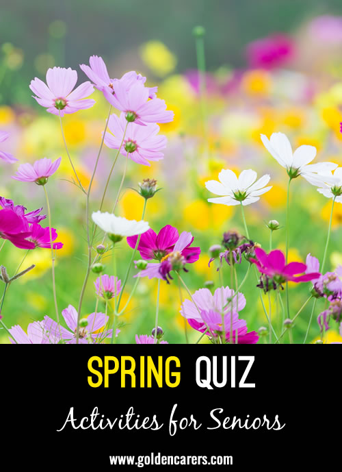 Here is a Spring-themed quiz to enjoy!