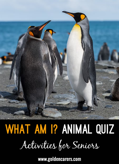 Here is a 5-minute animal quiz to enjoy!