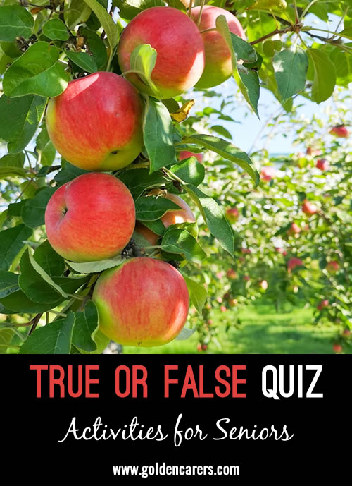 Another true or false quiz, this time with images!
