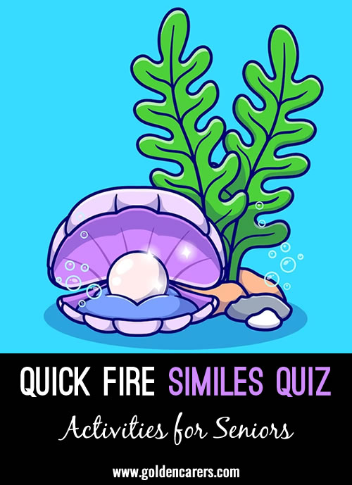 Here is a quick fire similes quiz to enjoy!
