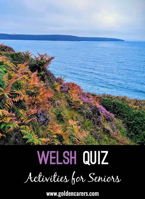 Here is a quiz about Wales to enjoy!